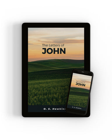John, The Letters of - eCourse
