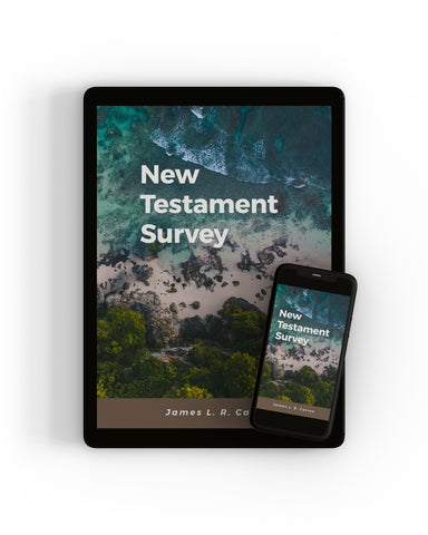 New Testament Survey eCourse