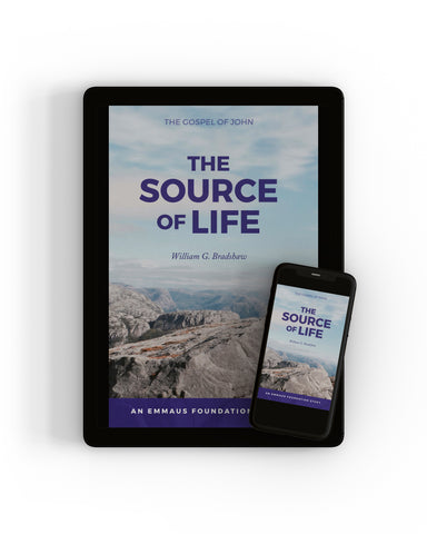 Source of Life, The (John's Gospel) - eCourse