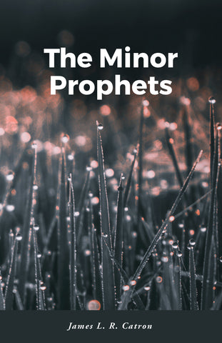 Minor Prophets, The